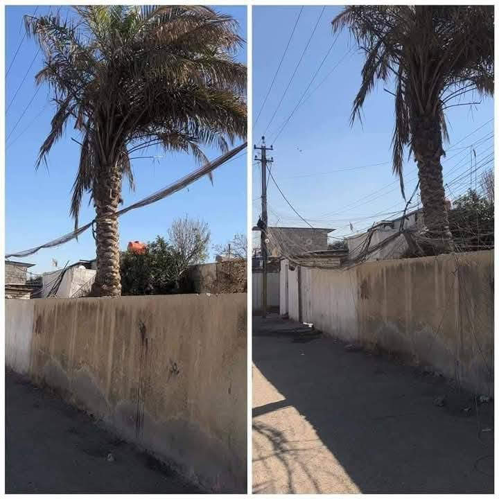 سلام عليكم الى اصحاب جميع المولدات احنا كادر تصفية الويرات المتروكة نشيل الواير المتروك ونرتب الشغالات ومقابل بس الواير المتروك ما ناخذ فلوس والترتيب مثل ما واضح بل صور والي يعجبة الشغل يتصل ع رقمي او يجي خاص
***********
