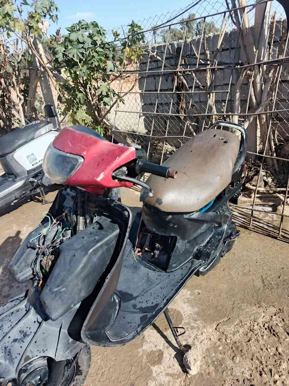 سلام عليكم  دراجه فراشه   للبيع محرك  لاتخبير لاتنقيص ناعمه   خير من الكهربائيات   شغاله هندر سلف   لايتات  بك لايت اشاير هورن كله تمام  كفرات موجود    شراي بيك خير وتدلل *********** واتساب فقط....   او ادخل خاص👍🏻
