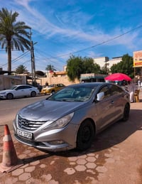 كوفه • لايتات • وارد امريكي