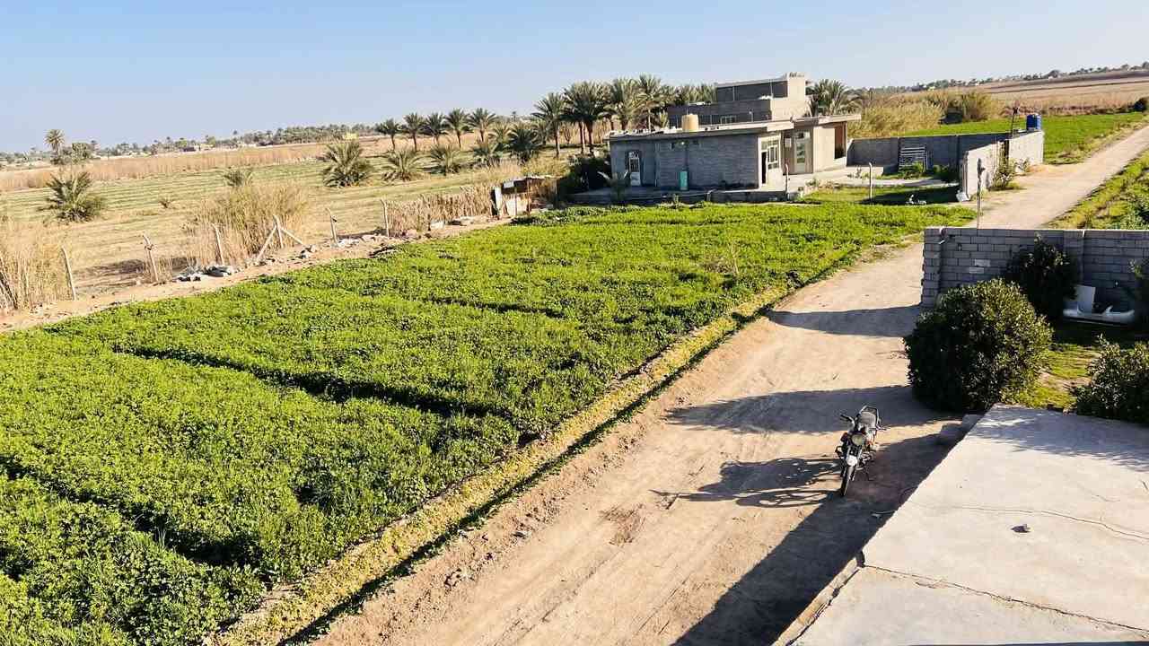 السلام عليكم
3دوانم  طابو زراعي للبيع  مع بيتين
الموقع الشاخه الاولى خلف حي العمال والبستنه.      متوفر  كهرباء ومياه سقي   +  ماء رساله صيف شتاء
 ومزروعه.  خط مولد من حي العمال   طريق جيد جداً
الاستفسار  الاتصال على الرقم ***********
غير متواجد على النت
