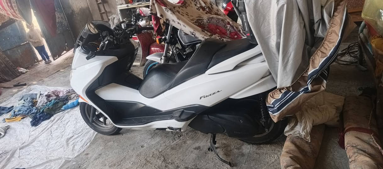 السلام عليكم 0 10 للبيع السعر 20 دراجه رامبه عنواني ميسان العماره انا وكيلها دراجهه او مراوس ما متواجد في الفيس لا اقرا ولا اكتب او مخابره او واتساب***********
