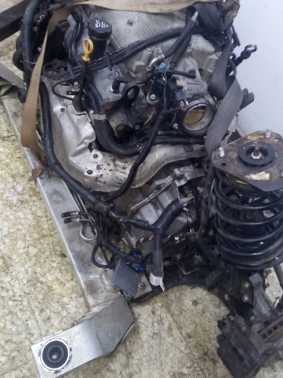 سلام عليكم ليوم تم الوصل محركات مع ضفيره غراض و صدر وكيوره  واي شي تحتاجون احنه بل خدمه ونشاء الله نكون عند حسن ظنكم
اخوكم سجاد امبالا
***********
