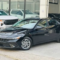 النترا SEL • ٢٠٢٤ • بدون صبغ