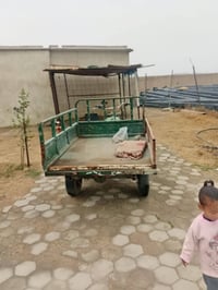 ستوته • كربلائيه • بصره زبير