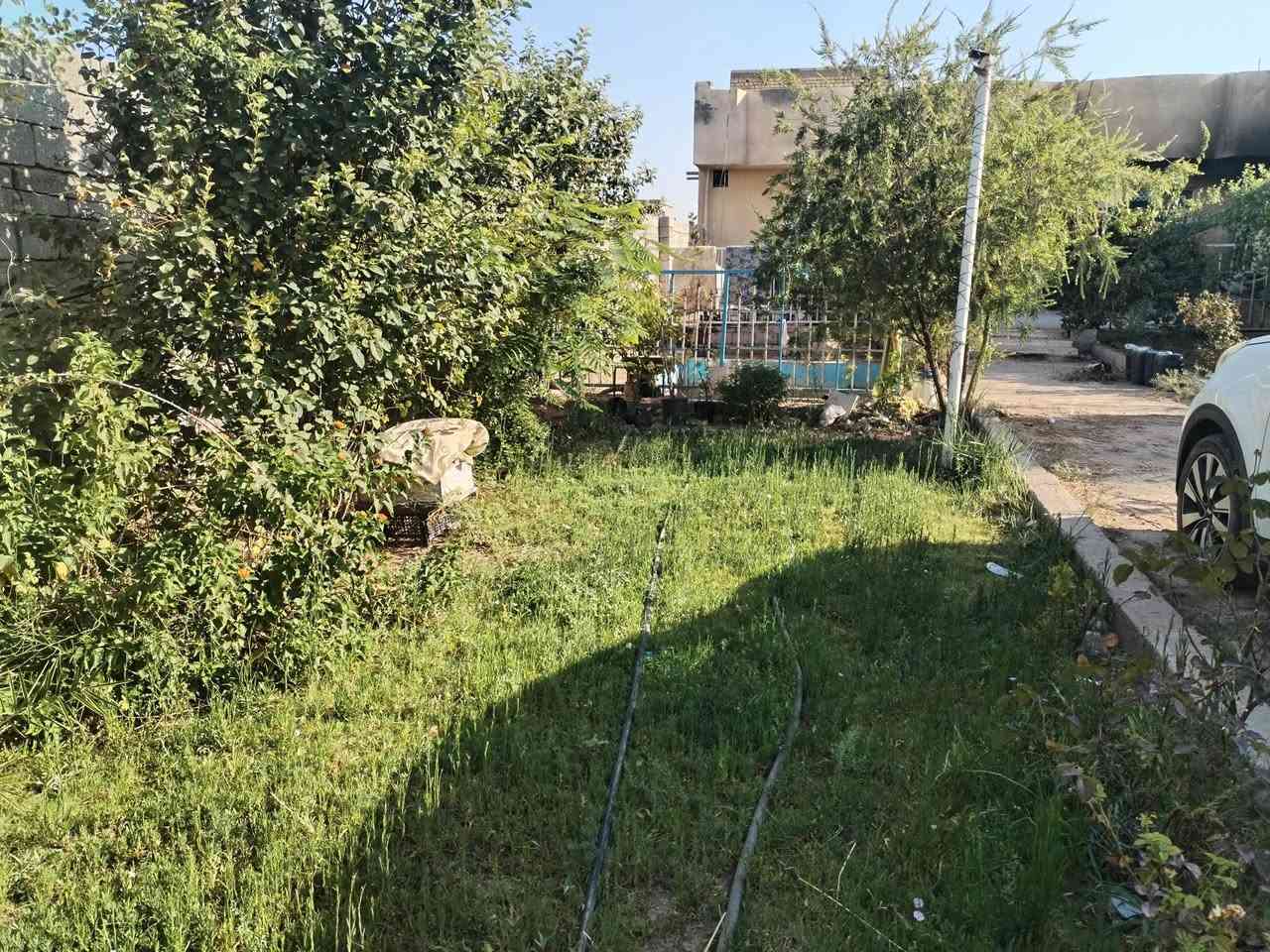 🌴 للبيع | مزرعة فخمة في الأوسمة والأنواط - بغداد 🌴
مزرعة نصف دونم (١٢٥٠ م)
السند 25 - طابو ملك صرف زراعي
المزرعة تصميم خليجي
🏡 بيت طابق واحد، مساحة ٣١٤ م ونص
يحتوي ٣ غرف نوم
🌳 أرض خلف البيت ٩٠ م
🏊 مسبح
🍎 أشجار مثمرة متنوعة
🛣️ شارع من المدخل لحد الحوش
🛣️ المزرعة على شارع فرعي (٢٠ م)
✅ مثالية للسكن، الونسة العائلية، أو الإيجار
📍 الموقع: منطقة الأوسمة والأنواط - بغداد
💰 السعر جداً مناسب
☎️ الشراي فقط يتصل
📱 واتساب: ***********
