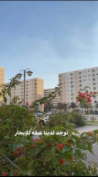 شقه الإيجار A8 ١٠٠متر تلفون ٠٧٩٠٣٦٠٠٣٩١