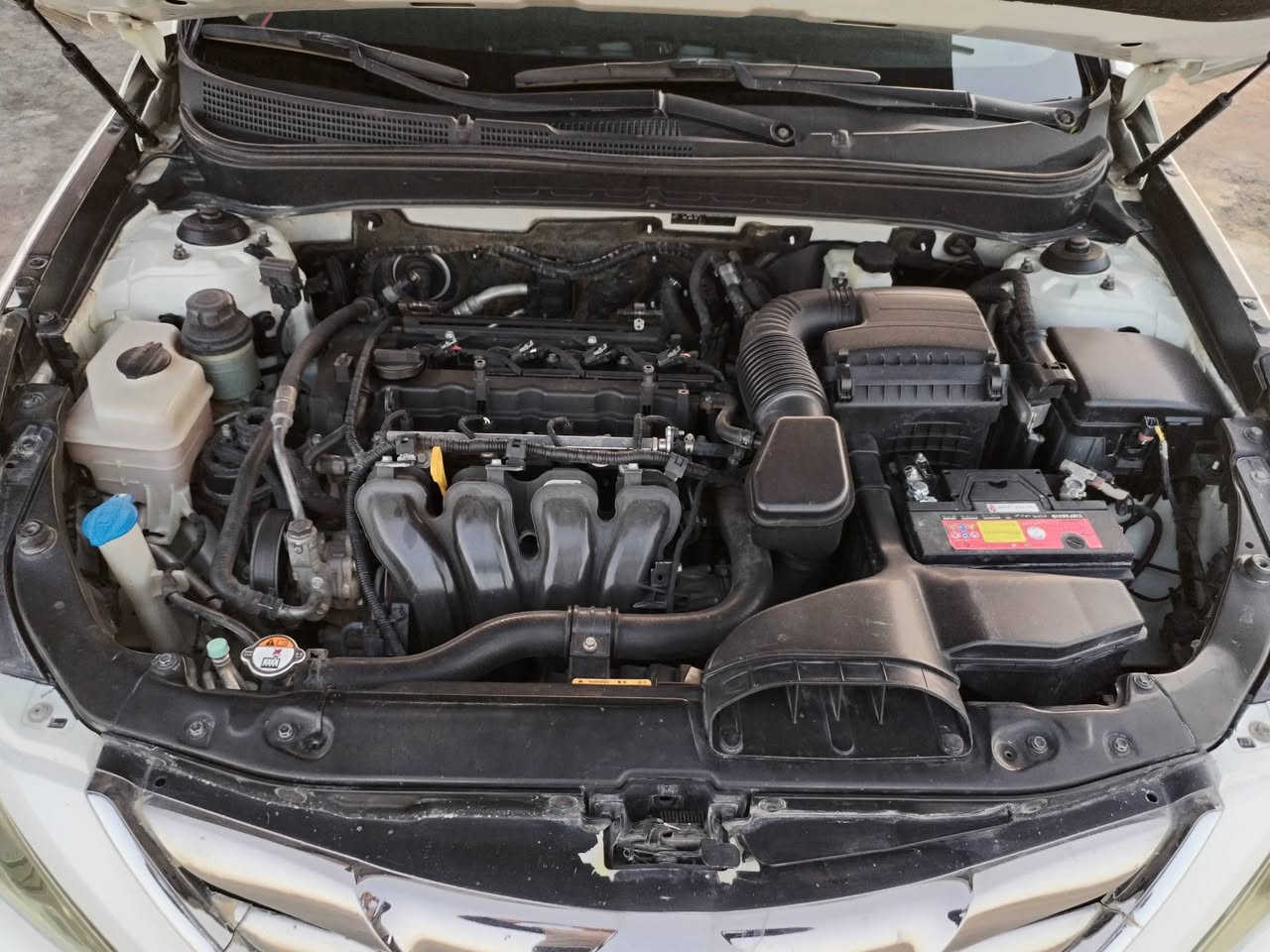 سلام عليكم سوناته موديل 11 بيه صبغ جاملغ وشخط بايتين ومصبوغات من تضليع وجوه السياره مال جناي فول مواصفات محرك ٢٤٠٠ ماشيه ٢٦٥ تحكم ستيرن مري ضفط شاير بل مري كشن كهرباء بنروما بصمه كشن جلد كير محرك خير من الله حداديه السياره خير من الله دسك امامي خلفي اربع سماعت سستم شاشه بصمه بل يدات *********** (***********) الشراي يتصل لا تراسل خاص مكان اليوسفيه قصر الوصط رقم السياره سليمانيه بسمنه مراوس حسب القناعه رقم سليمانيه بي ١٢٥ وبيهه مجال
