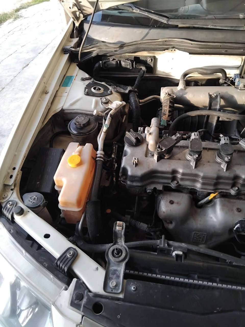 سني موديل ٢٠٠٩ رقم بغداد السعر ٩٠ صبغ موضح بلسونار اثر شخط كير محرك جديد صدر تبريد كله جديد السعر ٩٠ الشراي يتصل ويدلل مكان السياره العامريه مجمع الفارس العربي للاستفسار***********
