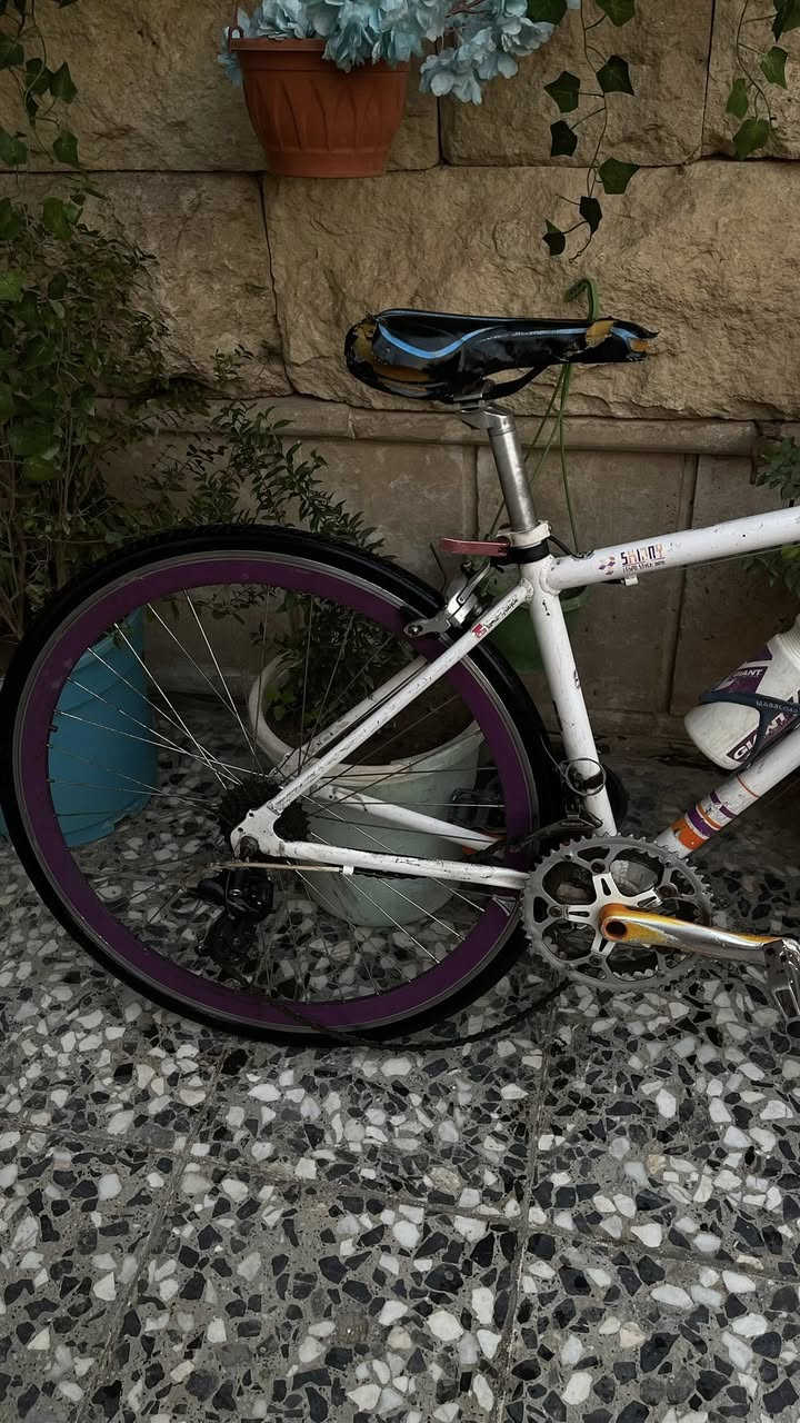 باسكل للبيع c700 مال ترحال المنيون خفيف صارله شهر متروك نضيف نقصه بس تشدله نت للمكينه موضح بلفيديو مكاني بغداد حي العامل رقم *********** واتساب
