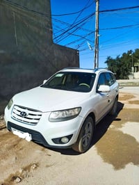 سنتافي • خليجي • مكفول سنة