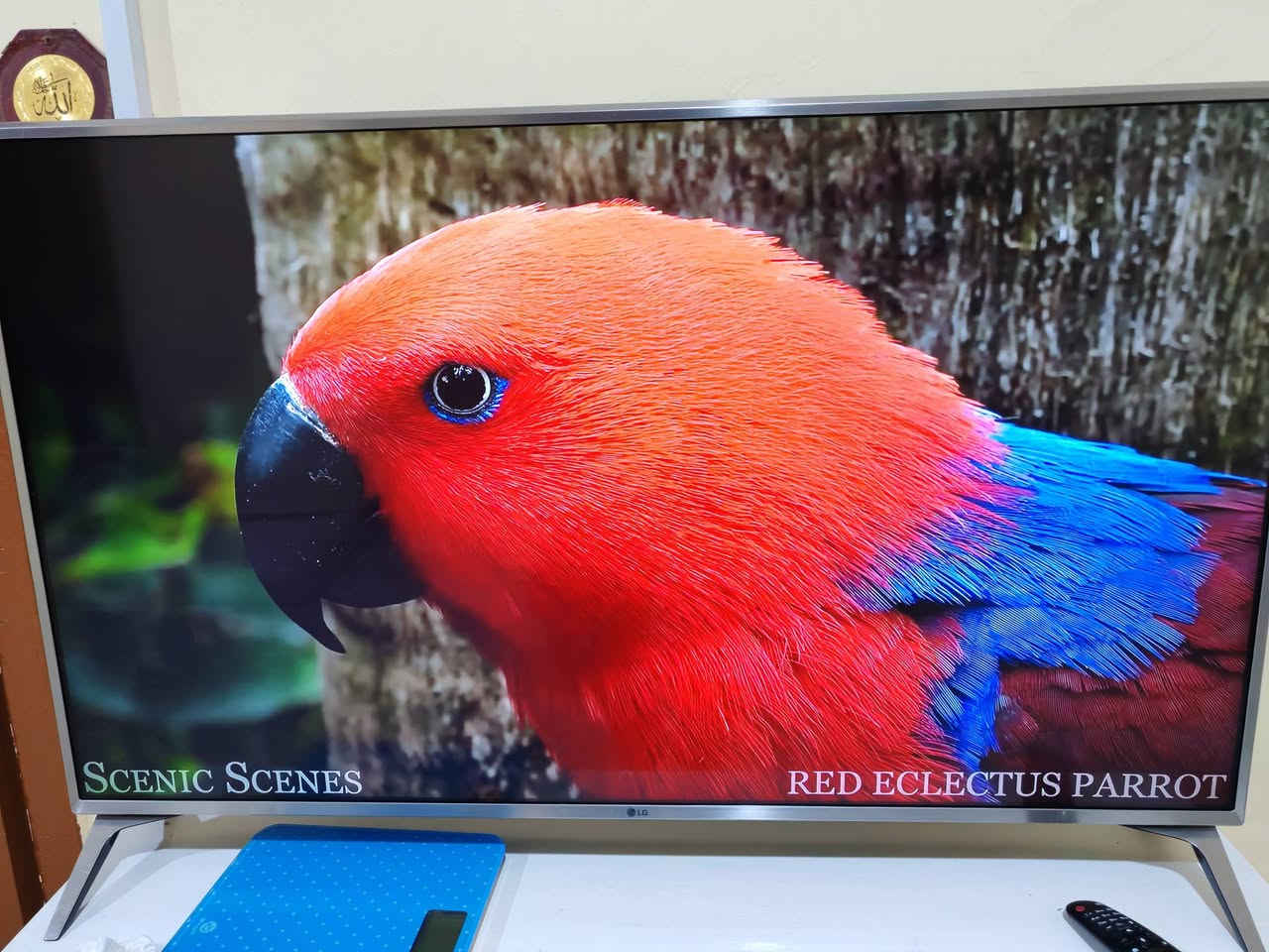 شاشة  إل جي للبيع موديل (LG 49UJ651V) وهي تلفاز ذكي بدقة 4K. كوريه وليست مصري او اندنوسي ومشتغله فقط ٤ اشهر.
شاشة  إل جي للبيع موديل (LG 49UJ651V) وهي تلفاز ذكي بدقة 4K. كوريه وليست مصري او اندنوسي ومشتغله فقط ٤ اشهر..
شاشه تفيد جماعة الالعاب ايضا لان راح تنطيك دقه فور كي حقيقي وليس كلام فقط مثل شاشات الصيني 
للمعلومه اكو تقليد صيني للشاشه ومعروفه 

المواصفات الأساسية

· الموديل: LG 49UJ651V 
· النوع: تلفاز LED ذكي (Smart TV) 
· سنة الصنع: 2017 (كما هو موضح على الملصق) 

الشاشة والعرض

· الحجم: 49 بوصة (قطرياً) 
· الدقة: 4K Ultra HD (3840 x 2160 بكسل) 
· نوع اللوحة: IPS (توفر زوايا مشاهدة واسعة) 
· معدل التحديث: 100 هرتز (مؤشر تردد) 
· تقنيات الصورة:
  · HDR: تدعم تقنيات Active HDR و HDR10 و HLG .
  · معالج ألوان: يحتوي على محرك لتحسين الألوان (Color Master Engine) .
  · رفع الدقة: يمكنه رفع دقة المحتوى العادي إلى قريبة من 4K (4K Upscaler) .

الصوت

· الطاقة الصوتية: 20 واط 
· نظام السماعات: 2.0 قناة 
· محيط صوتي: يدعم تقنية Ultra Surround لمحاكاة الصوت المحيطي .

النظام الذكي والاتصال

· نظام التشغيل: webOS 3.5 
· التحكم: جهاز التحكم السحري (Magic Remote) جاهز للاستخدام (يُباع بشكل منفصل غالباً) .
· البث والمرايا: يدعم Miracast و WiDi لعكس الشاشة من الأجهزة المحمولة والحاسوب .

المنافذ والمداخل

· HDMI: 4 منافذ (واحد منها يدعم ARC لإرجاع الصوت) 
· USB: 2 منفذ (بإصدار 2.0) 
· الشبكة: منفذ LAN (إيثرنت) و Wi-Fi مدمج (802.11ac) .
· اتصالات أخرى: Bluetooth مدمج ، مخرج صوت رقمي (Optical) ، مدخل RF للهوائي والقمر الصناعي ، ومدخل مركب (Composite) مشترك .

الطاقة

· مصدر الطاقة: AC 100-240V ~ 50/60Hz (كما هو موضح على الملصق) 
· الاستهلاك في التشغيل: حوالي 85 واط 
· الاستهلاك في وضع الاستعداد: 0.5 واط 

الأبعاد والوزن

· بدون قاعدة (عرض × ارتفاع × عمق): 110.7 × 64.5 × 7.9 سم 
· مع القاعدة (عرض × ارتفاع × عمق): 110.7 × 70.5 × 23.3 سم 
· الوزن بدون قاعدة: 11.3 كغم 
· الوزن مع القاعدة: 11.5 كغم 
· مقاييس التثبيت على الحائط (VESA): 300 × 300 ملم


**إذا كنت صاحب هذا الإعلان وتريد حذفه لأي سبب، رجاءا أرسل رسالة إلى الدعم الفني**