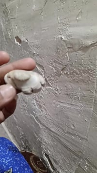 للبيع كل حجر وسعره مع الختم والتوكيل للأمانة كله اصلي تجي للبيت تاخذه ...