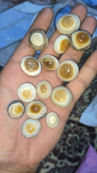 جزع يماني • ملكي • أسعار جملة