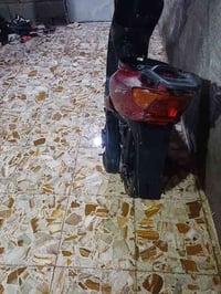 سلا م عليكم درجه عصفوريه شغاله سلف هندار كلهه شغاله نقصهه تريشه ولسان ...