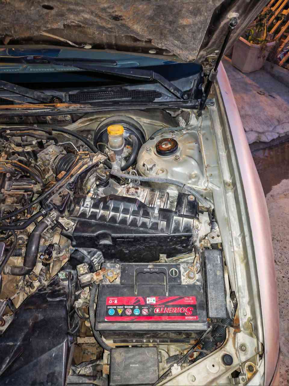 نيسان مكسيما موديل 2004طخه بسيطه بالبنيد ومصلحه والباقي بدون صبغ بيها جراد موضح بالصور غرفه جديده بلاديه تخم تاير جديد محرك كير تبريد تمام كهربائيات كلها عالشركه رقمها بغداد انكليزي وهزه جديده السعر63وبيها مجال مكانها بغداد العامريه شارع المنظمة أو مجموع المحبه بالسيديه للاتصال بالرقم ***********
