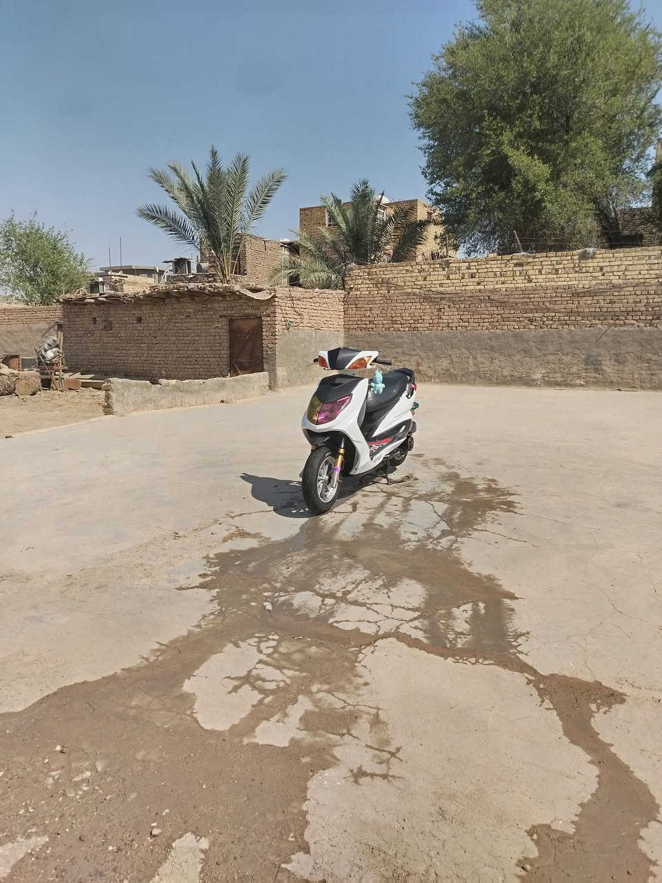 دراجه سكنس فحل كابريته اللبيع السعر550وبيه مجال العنوان الديوانيه قضاء الشاميه للاستفسار لاتصال ع الرقم ***********

