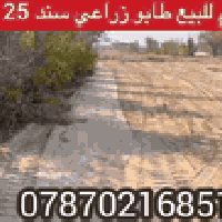 النجف الاشرف • ٢٥٠٠م • طابو زراعي