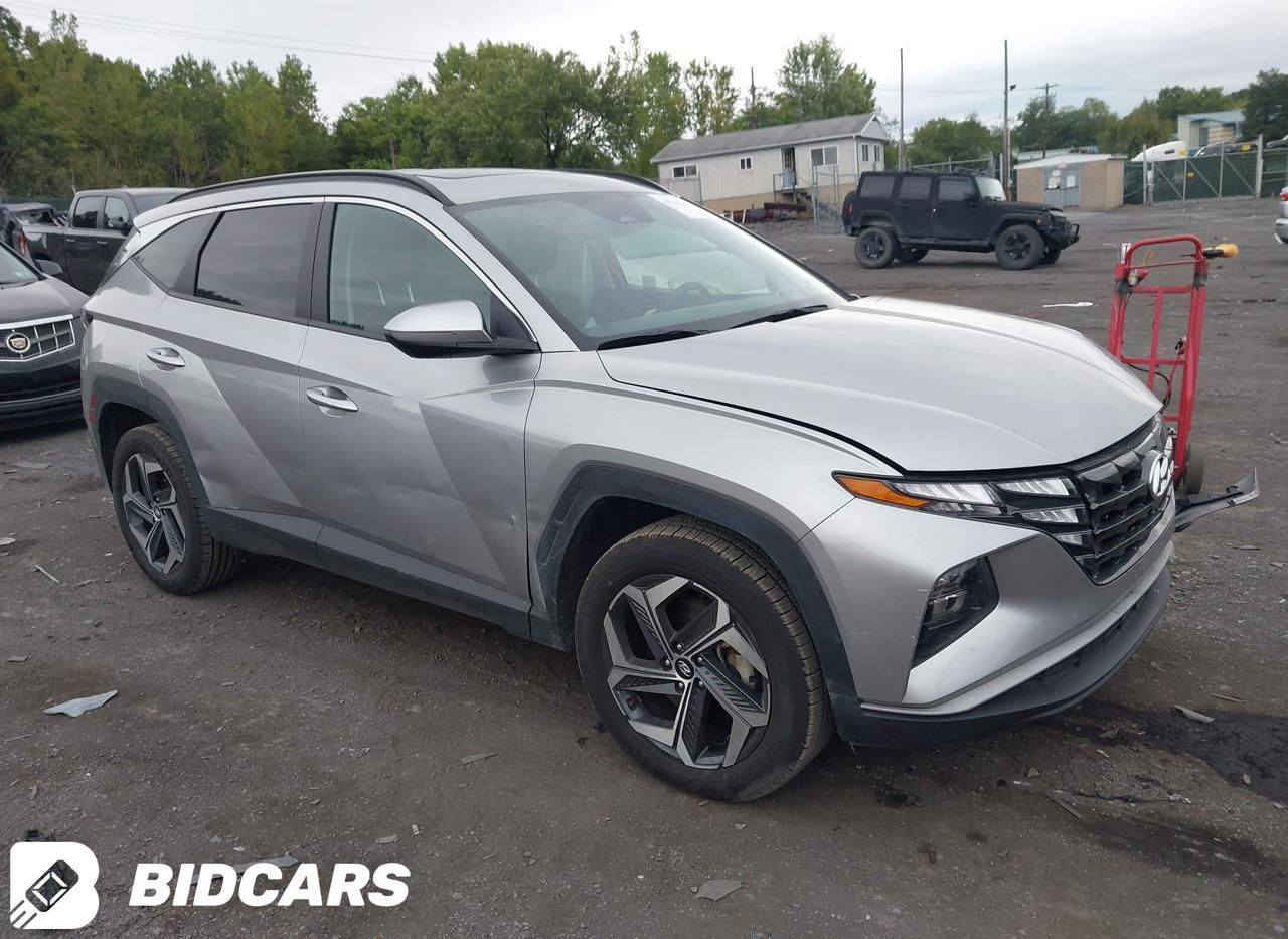 توكسان 2024 لمتد
فول فتحه بصمه جلد
واصل ميناء 165
مصلح
———————————————-
الحادث موضح بالصور
اتصال او واتساب : ***********
سيف علاء  
             wa.me/9647718876677 وتساب مباشر
حسن المياحي
كروب وتساب نشر السيارات
https://chat.whatsapp.com/Ji5ggDl2zrpG8Xfgn4knX4
