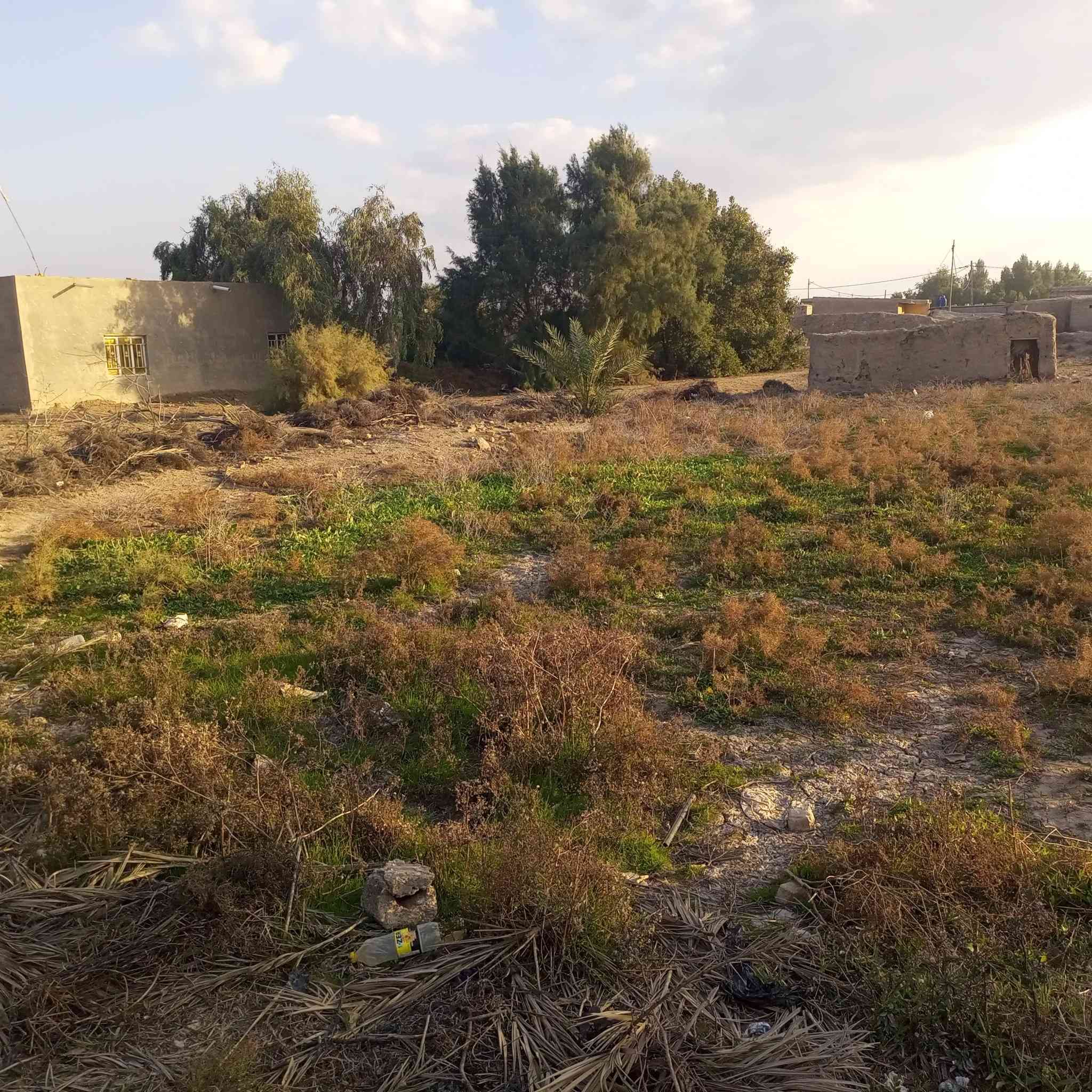 دار كبيره مع قطعة ارض للبيع
توجد جميع الخدمات ماء كهرباء تبليط مدرسه بتدائيه وثانويه قريبه وبسعر مميز زراعي علماً ان القطعه يمكنك بناء 4الى 5 منازل كبيره 

المكان الاحرار المزاك قرية الزهراء 

للتواصل ***********
