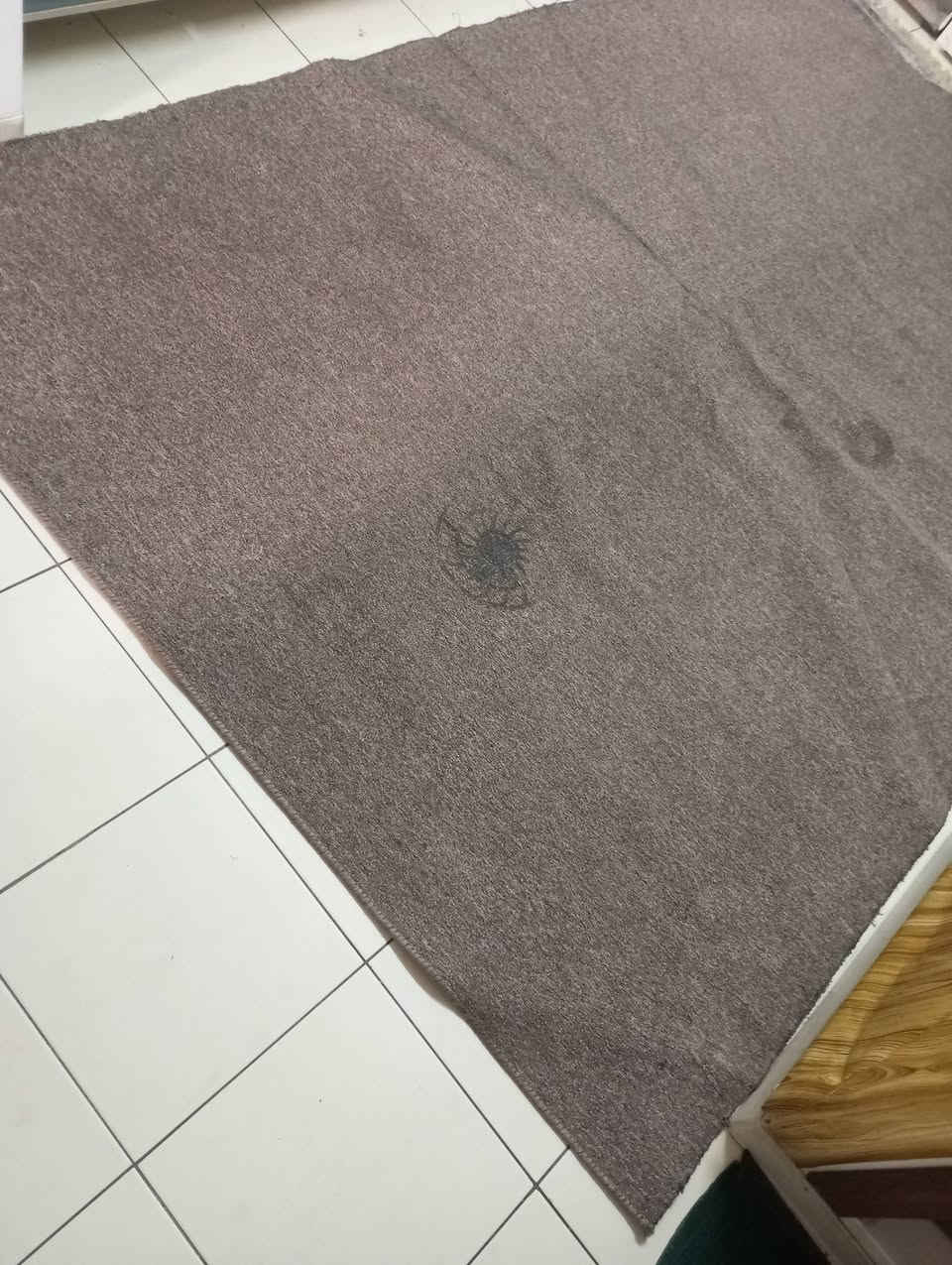 ثنينهم قياس ٢ ب٣ وقطعه تكفي ممر ثلاثتهم ب ٢٥


**إذا كنت صاحب هذا الإعلان وتريد حذفه لأي سبب، رجاءا أرسل رسالة إلى الدعم الفني**