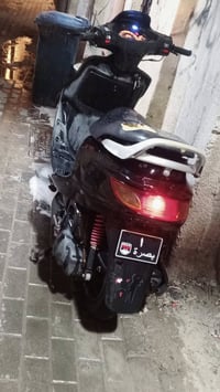 فراشة • البصره