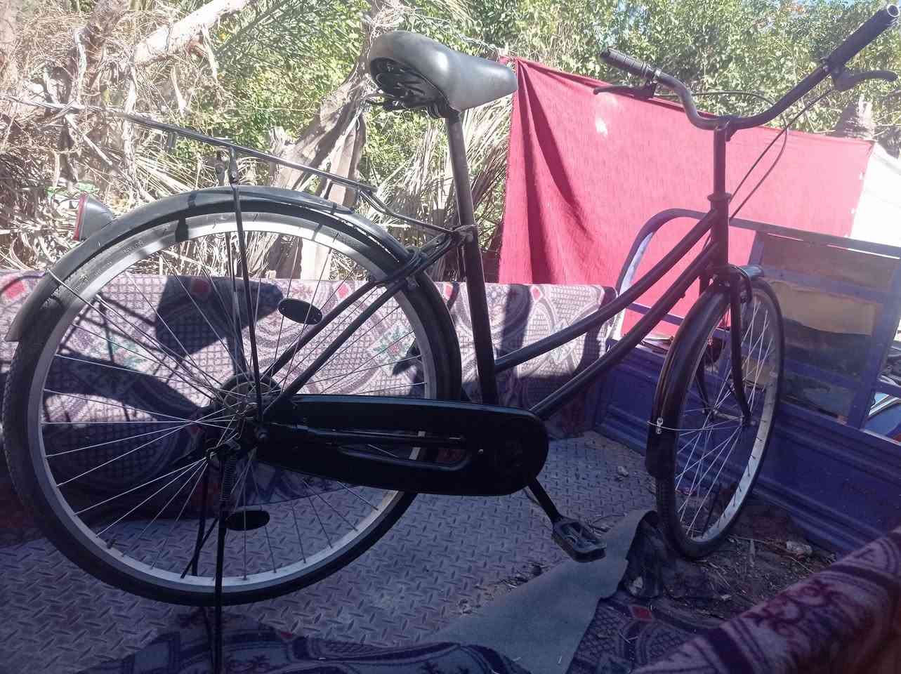 سلام عليكم باسكل حلو نضيف حجم 26 سعر 65 أو بي مجال خاص مفتوح مستعجل عله بيعه


**إذا كنت صاحب هذا الإعلان وتريد حذفه لأي سبب، رجاءا أرسل رسالة إلى الدعم الفني**