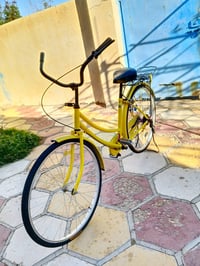 باسكل بناتي • حجم ٢٦ • موديل ٢٠٢٤