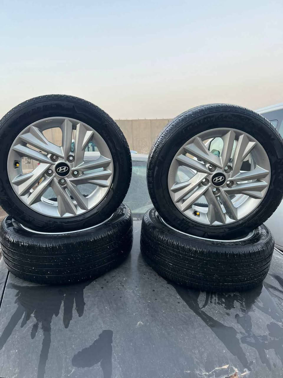 ويل كب حجم 16 السعر 250
*********** Singapore
