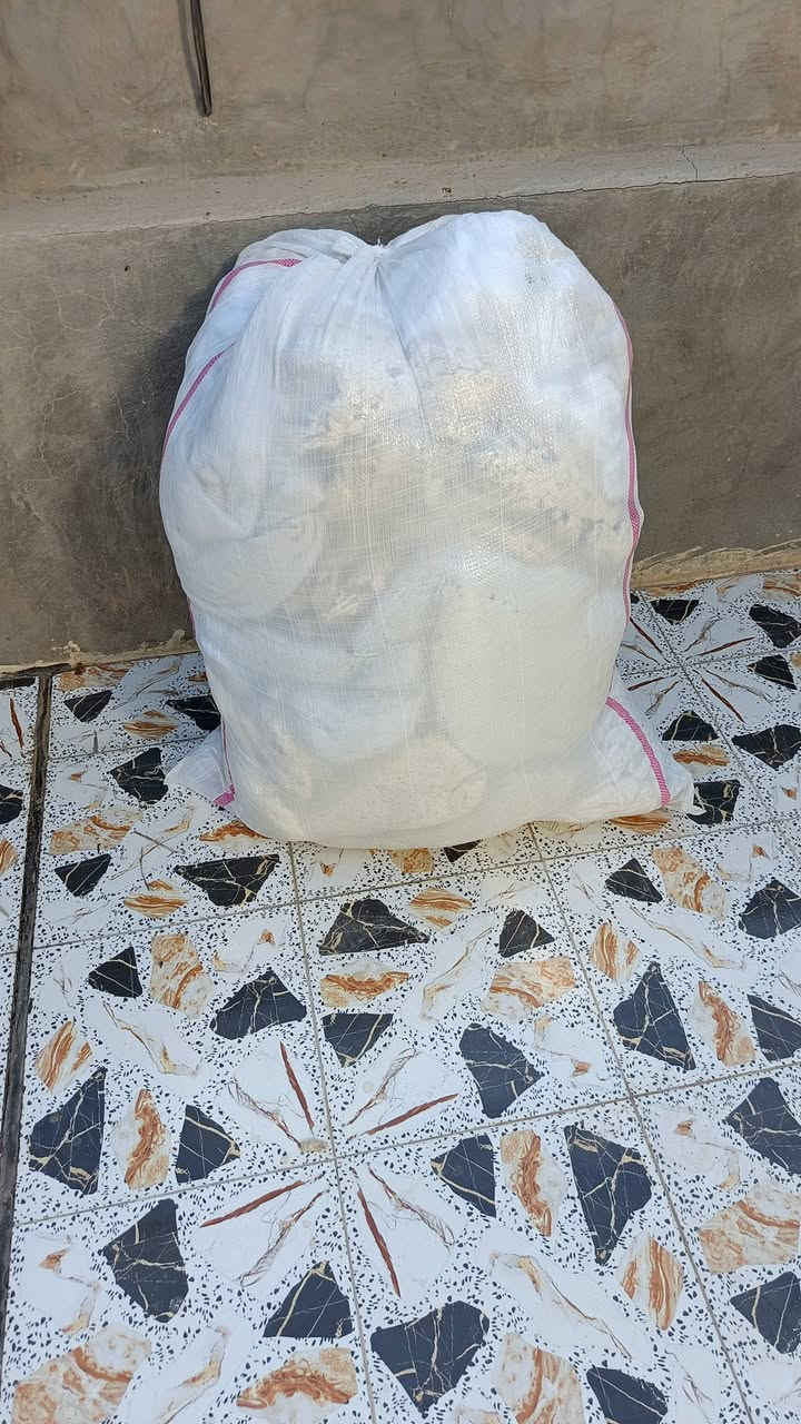 شليف صوف للبيع 
السعر ١٠


**إذا كنت صاحب هذا الإعلان وتريد حذفه لأي سبب، رجاءا أرسل رسالة إلى الدعم الفني**
