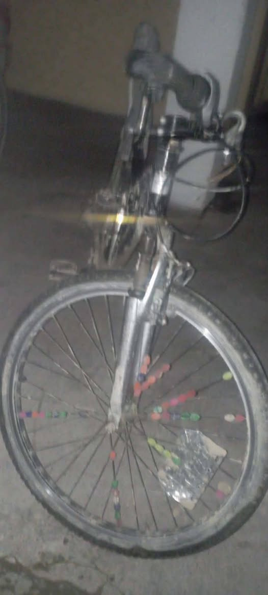 السلام عليكم جمعه مباركه علينا وعليكم بايسكل للبيع حجم 26 امريكي جبلات السعر 80 وبيج اللي يريده يراسلني على هاي الصفحه الناشره بيه


**إذا كنت صاحب هذا الإعلان وتريد حذفه لأي سبب، رجاءا أرسل رسالة إلى الدعم الفني**