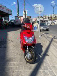 سكنس فحل كوري نوزل للبيع السعر 650 وبيه مجال للاستفسار الاتصال على الر...