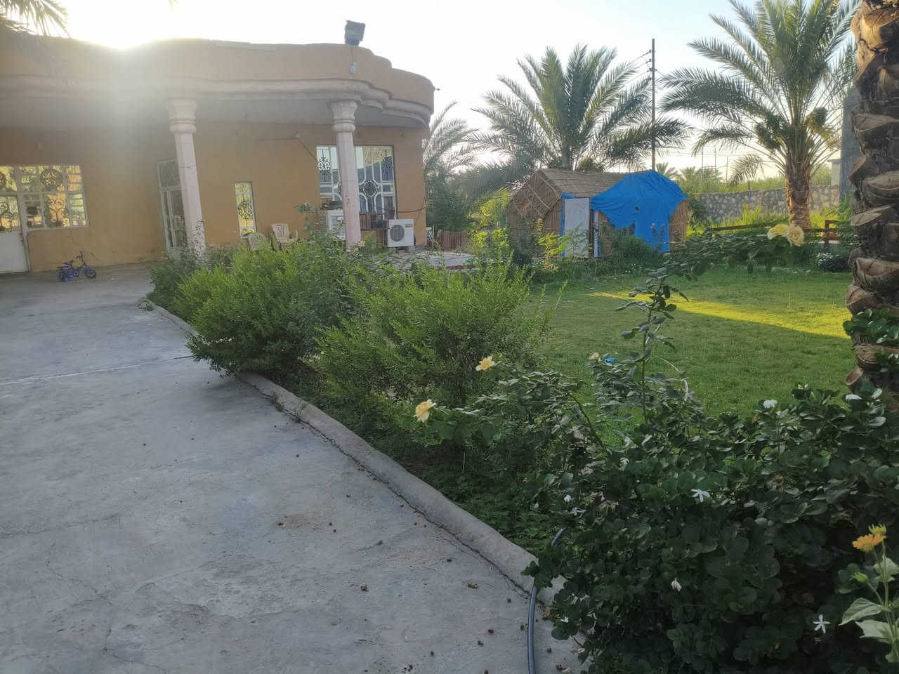 السلام عليكم ورحمه الله وبركاته بيت البيع مساحه نصف دونم وجه شارع عام مجاور محطه الريفيه
البيت جبير وبيه 2غرفتين 4*5.    غرفه 6*4
استقبال 1.500*4.500
مطبخ 4*5
صاله 9*4+3*5
صيحات داخليه 1خارجيه 2
داير البيت كله زرع ونخل درجه اول متوفر ماي على مدار سنه ماينكطع كط+كهرباء +مولد حي +كل الخدمات ومحاط بلمدارس 
الاستفسار الاتصال على الرقم ***********
السلام عليكم ورحمه الله وبركاته بيت البيع مساحه نصف دونم وجه شارع عام مجاور محطه الريفيه
