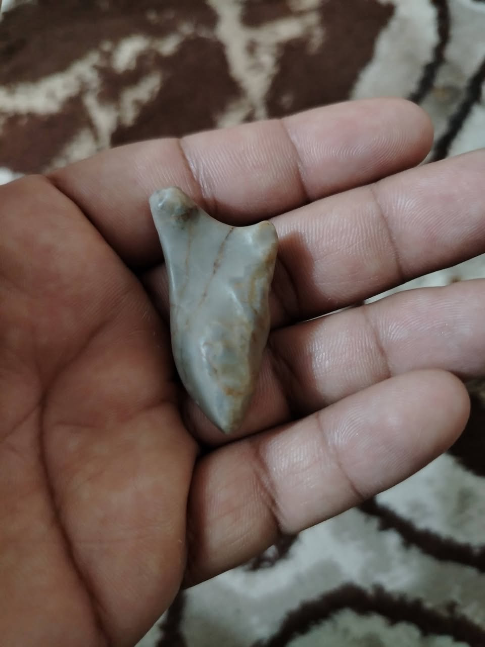 هبهاب مع سلطاني مع داودي خامات تحفه للبيع مكاني بابل


**إذا كنت صاحب هذا الإعلان وتريد حذفه لأي سبب، رجاءا أرسل رسالة إلى الدعم الفني**