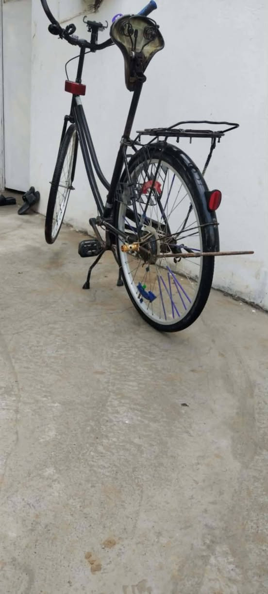 بايسكل ل بيع السعر ٧٥ وبي مجال تيارات جدد وجوابة جدد بايسكل مال لعب الشراي يجي خاص


**إذا كنت صاحب هذا الإعلان وتريد حذفه لأي سبب، رجاءا أرسل رسالة إلى الدعم الفني**