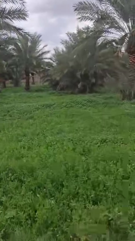 السلام عليكم
أرض للبيع خمس دوانم (طابو ٢٥) قضاء الصويره ناحيه تاج الدين الحفريه مقابل البانزينخانه الحكوميه تبعد عن الشارع العام بغداد كوت كيلو ونص خدمات ماء كهرباء وأساله وتبليط 

رقم صاحب الأرض  ‭***********‬

                      ‭***********
