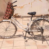 عجلة بيضاء • بريكات فول • نجف الاشرف