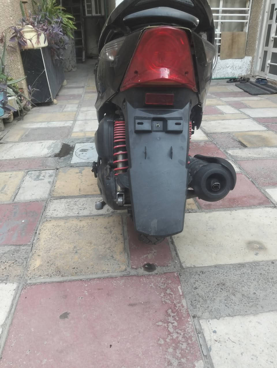ماكس ثعلب نكره سلف سعرهه 375
***********
