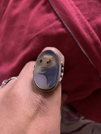 عقيق شجري وسليماني مال مشباب مال العماره مكاني مدينت آلصدر 07713919619