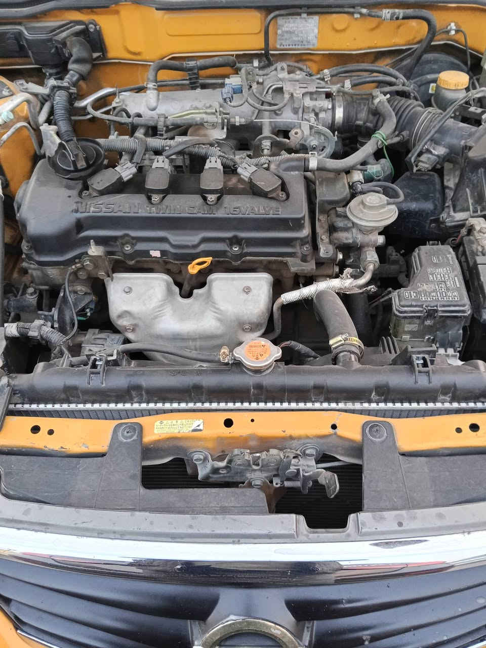 سني 11 صبغ حزام *********** سعر 77 بيه مجال
