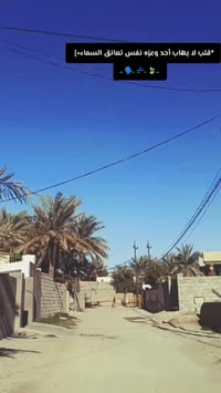 تايگر • 2021 • نقص چبن وسبرنگ