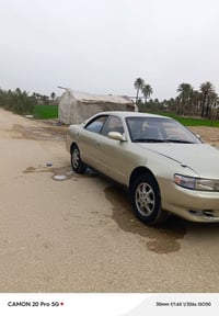 شيزر نفخ • ١٩٩٢ • نجف مشخاب