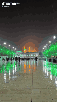 حمله اليوم المقاعد الاخيره الى مدينه كربلاء المقدسه بسعر 4000الالف فقط الانطلاق الساعه الواحده ظهرا للحجز على الارقام التاليه 
***********
***********
