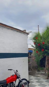 للبيع • عليه مجال • تواصل خاص