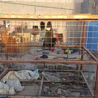 للبيع ٢ متر / بمتر ونص المكان بغداد كفاءات العبيدي 07813669478