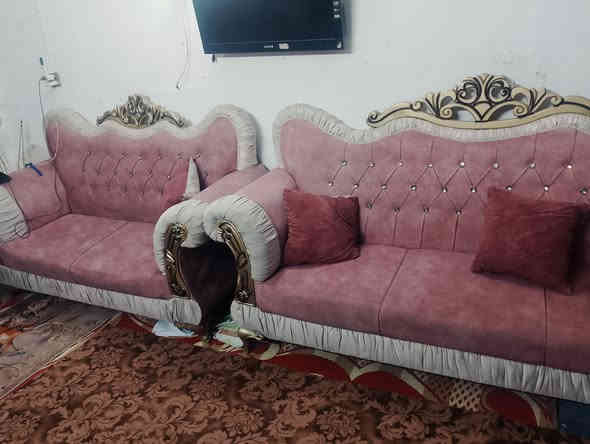 تخم ١٠نفرات بدون طبلات نضيف التخم عنواني نجف عسكري مدارس السعر ٢٥٠وبي مجال ***********
