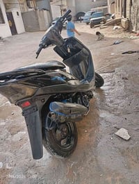 شبنات • حك • كربلاء