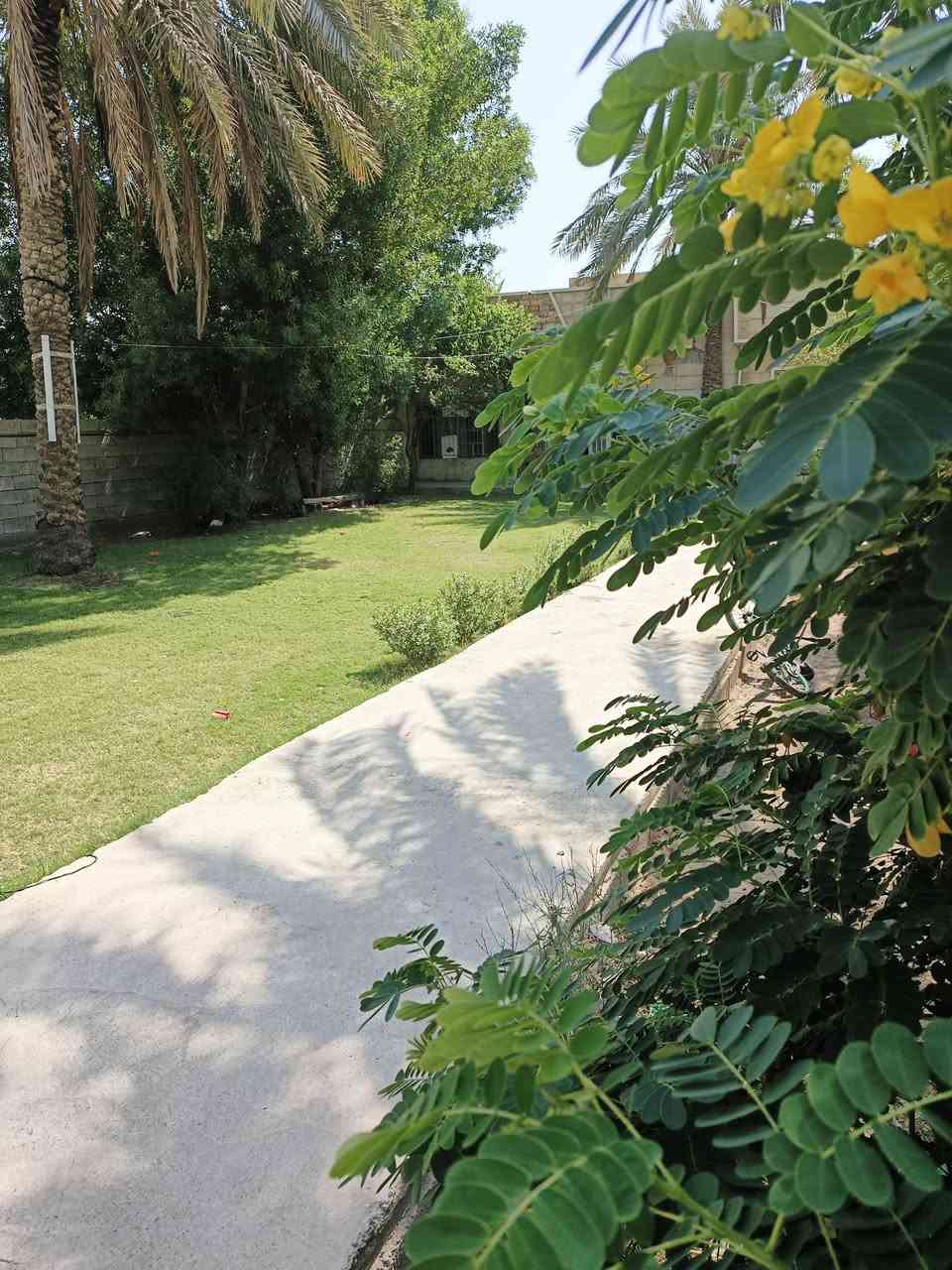 السلام عليكم دار مساحة ٩٥٠متر في الشعب بوب الشام زراعي مشمول بلتطويب عله شارع رئيسي شارع السوق يحتوي على حديقة أمامية وخلفيه ثلاث غرف نوم استقبال كبير مطبخ كبير حار وبارد حولي عدد اثنين كامل مناقصه شي منطقه كامل خدمات تبليط مجاري كهرباء ارصفه سعره ١٨٠رقم***********
