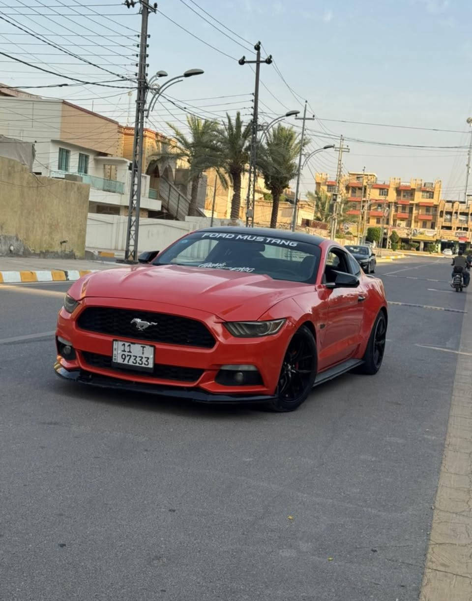 المميز للبيع
موستنك 2015 
محرك V6 3700 🚀 المرغوب
كير اوتماتيك 
لون مميز رقم مميز 
ماشيه 106 حقيقي 
عليها برمجه طلقات و ببكورن 
عليها كزوز HT POWER
عليها ادامه كامله بلكات نوزلات 
تبريد ثلج ❄️
تخم تاير جديد 
ويل اصلي حجم 19
عليها اناره داخليه لد متغير الوان 
بكلات 2023 
محرك كير كفاله 
رقم جديد هزه جديده بأسمي تحويل ثاني يوم 
حادثها چاملغ و بنيد مصبوغه حزام جماليه 
 السعر 119 وبيه مجال بسيط
للاتصال ***********
