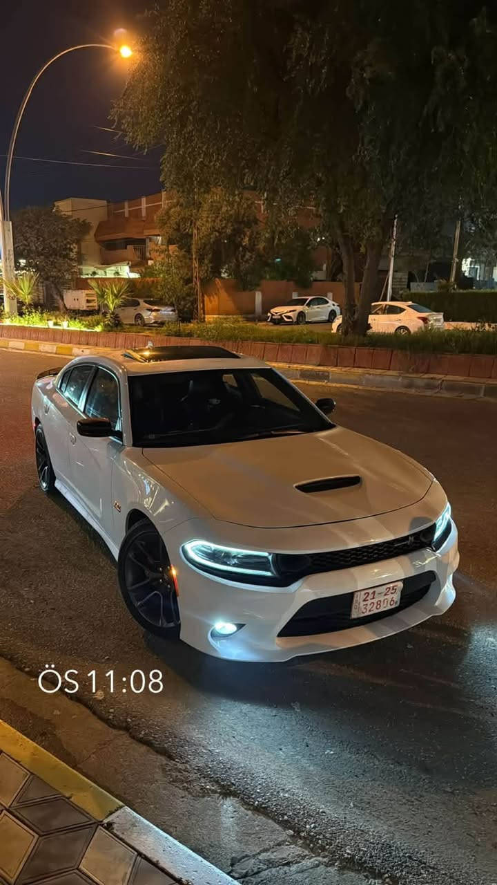 جارجر سكات باك 2023 lastcall فول مواصفات ضرر قطعتين بنيد وجامرلغ بدون رقم بعده كاتيً  مكاني كركوك سعر ٢٣٠ ورقه وبي مجال لل استفسار ***********
