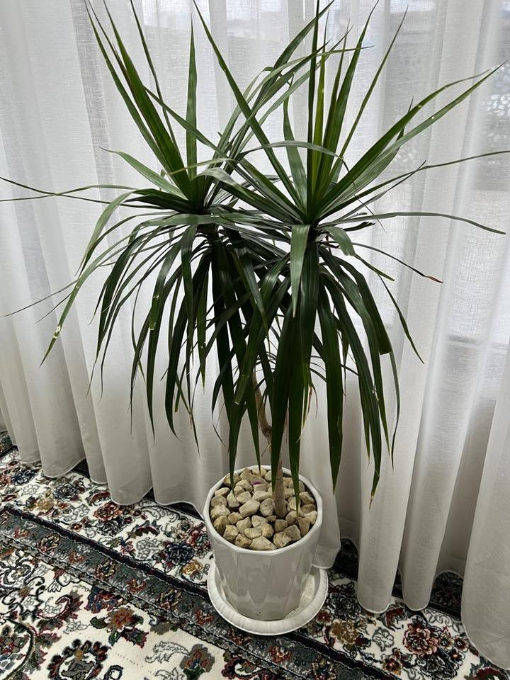 بۆ فرۆشتن
سلێمانی
***********
